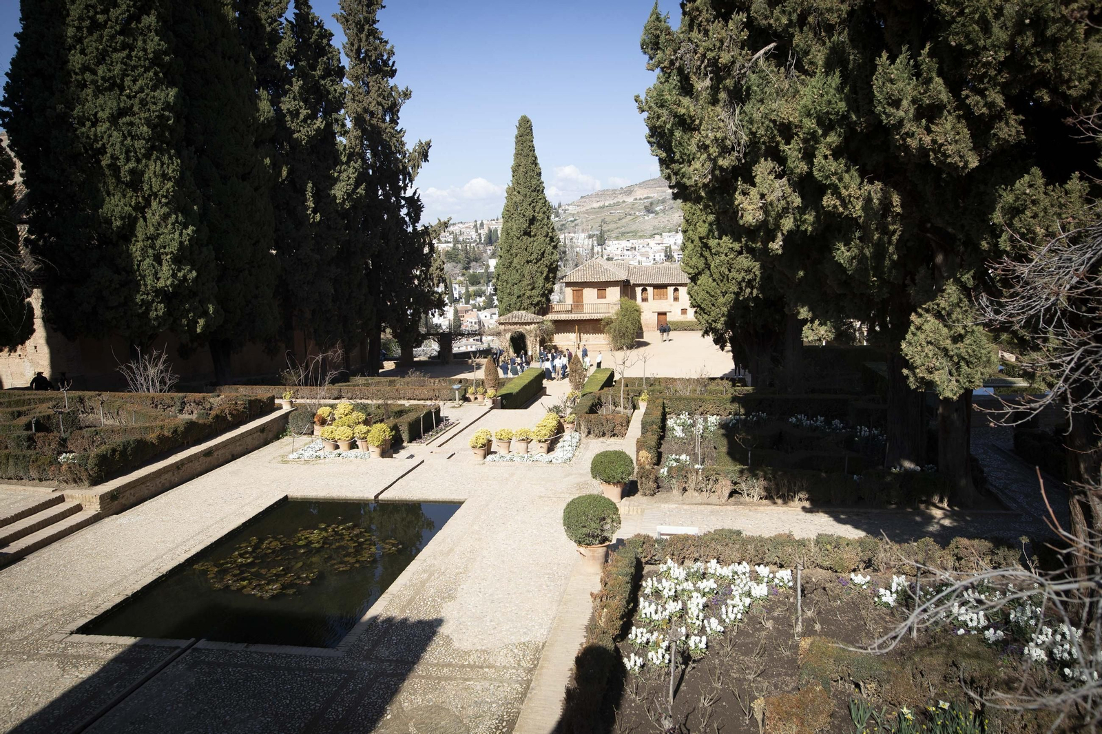 La Alhambra en flor...de invierno: las imágenes