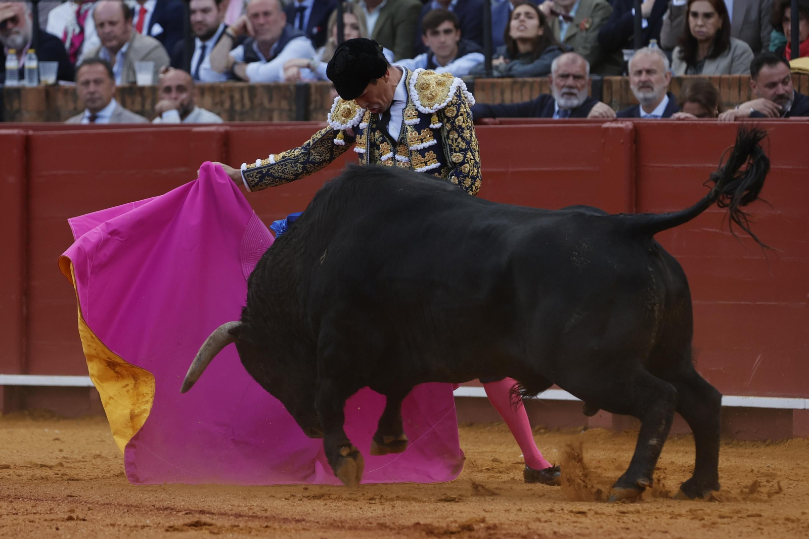 Las imágenes del festejo