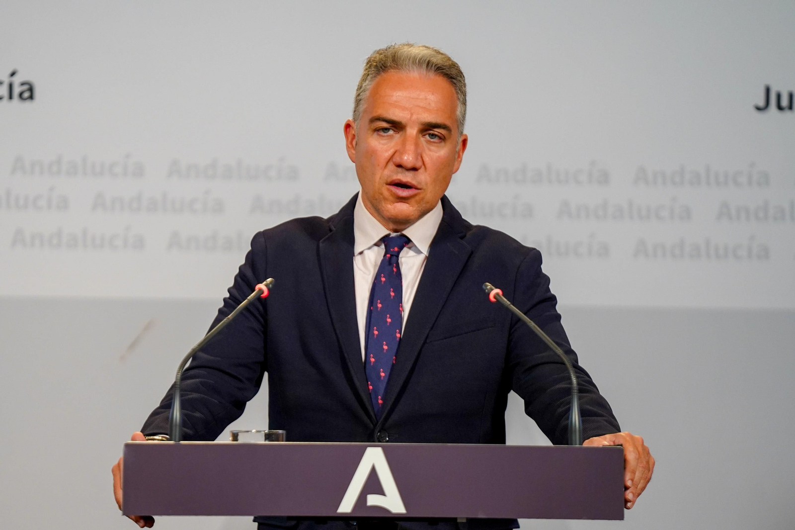El consejero de la Presidencia, Administración Pública e Interior y portavoz del Gobierno andaluz, Elías Bendodo en la rueda de prensa posterior a la reunión del Consejo de Gobierno.