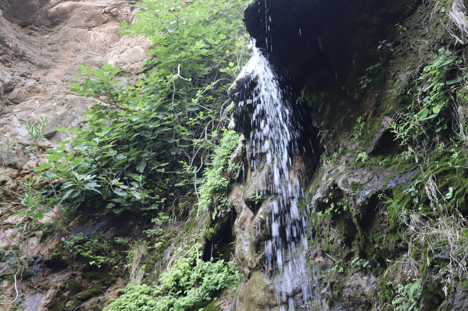 Así lucen Jorox, su entorno y su cascada, un oasis en Málaga para el caluroso verano de Andalucía
