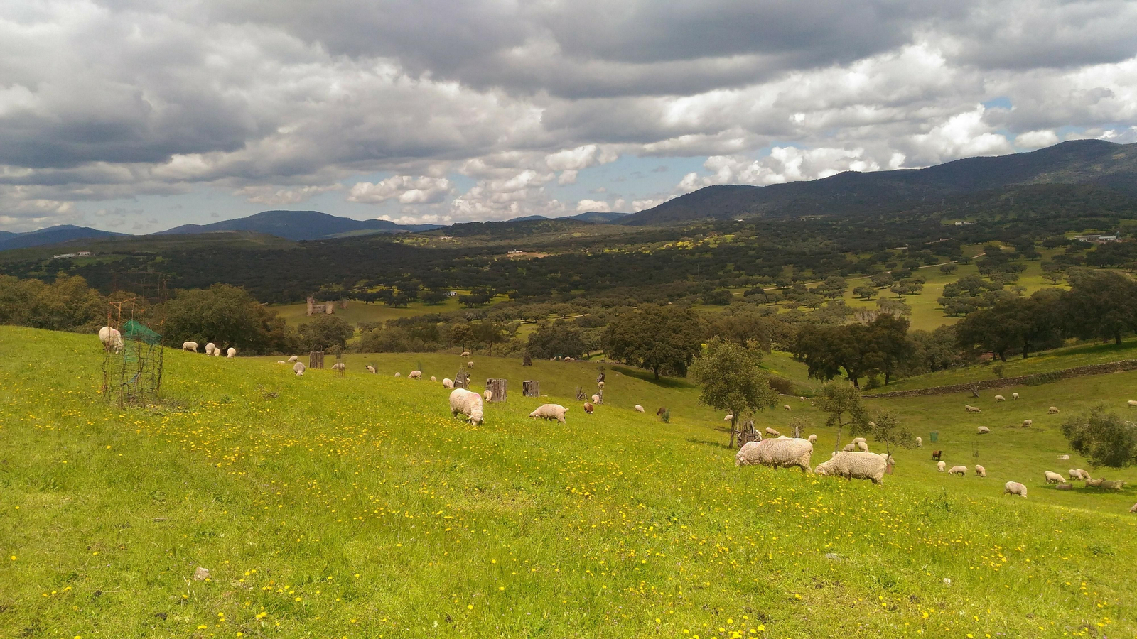 Fotos de la ruta circular de El Real de la Jara