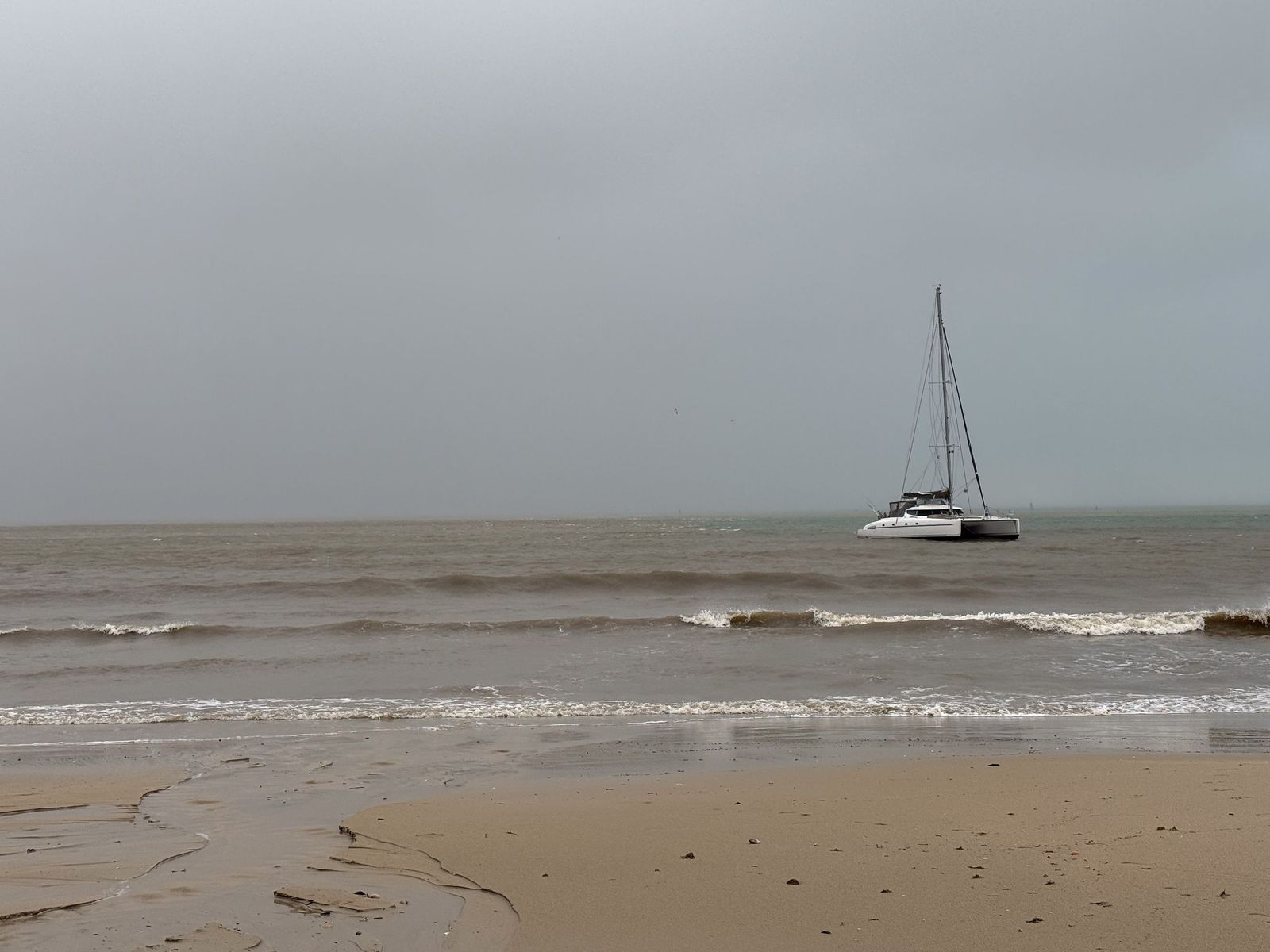 Fotografías de árboles caídos e inundaciones por la borrasca Leonardo