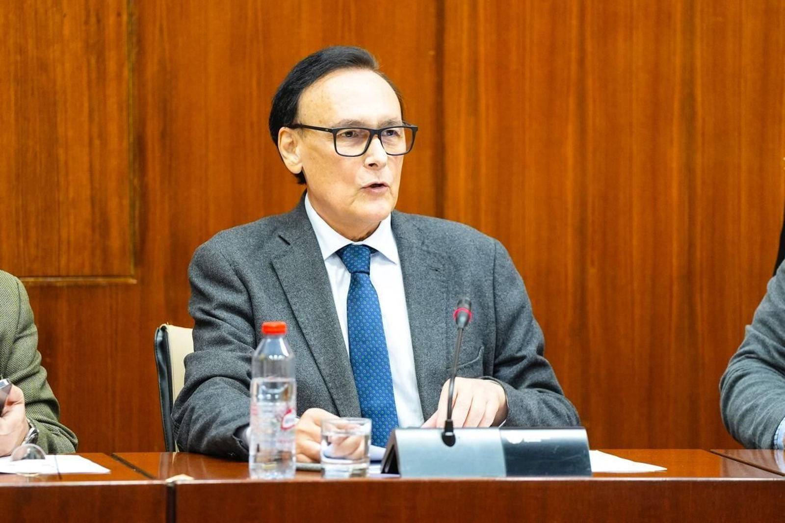 Gómez Villamandos en su comparecencia.