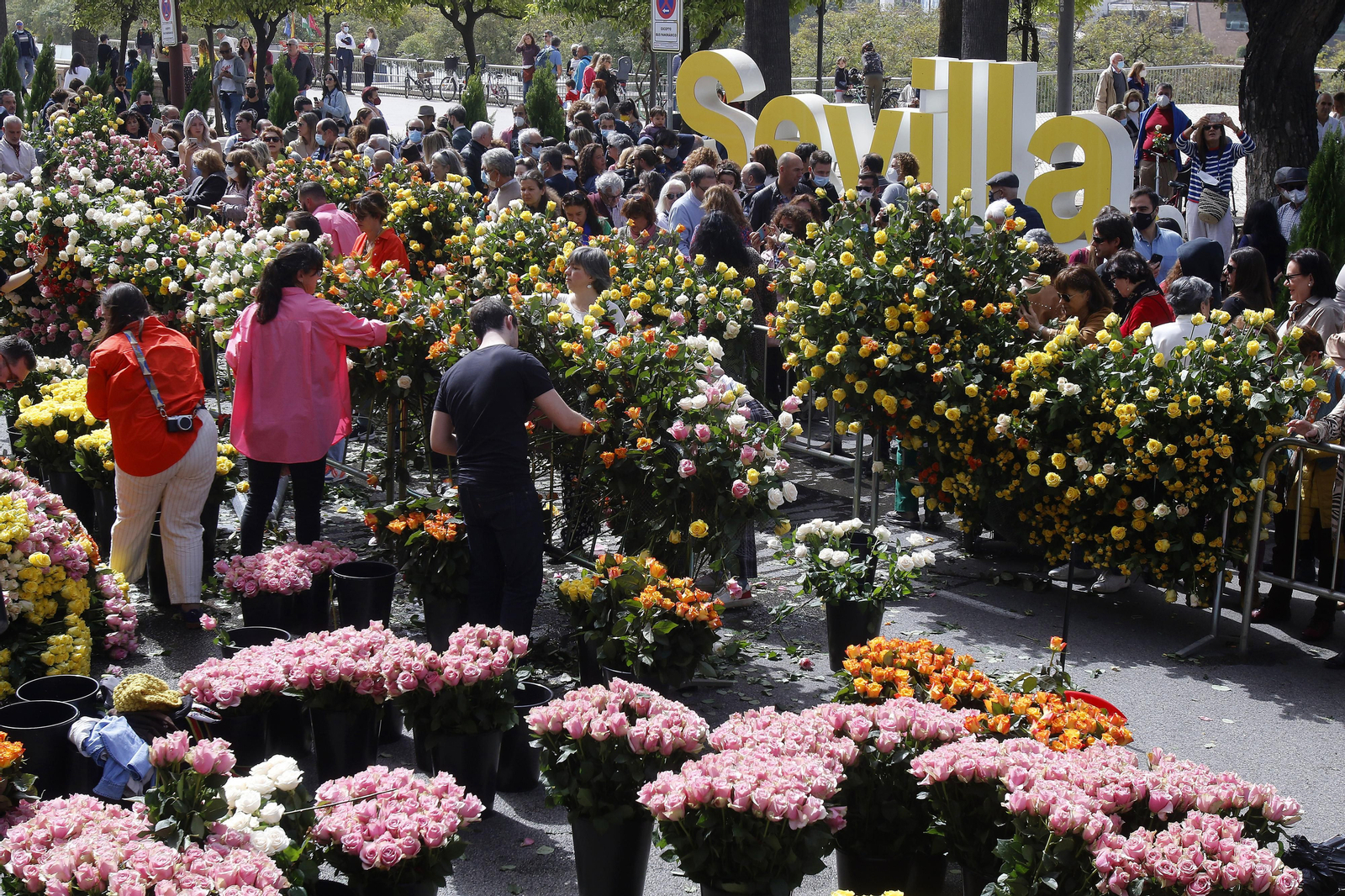 CORTE DEL PASEO COLON CON MERCADILLOS Y COLOCACION DE FLORES
