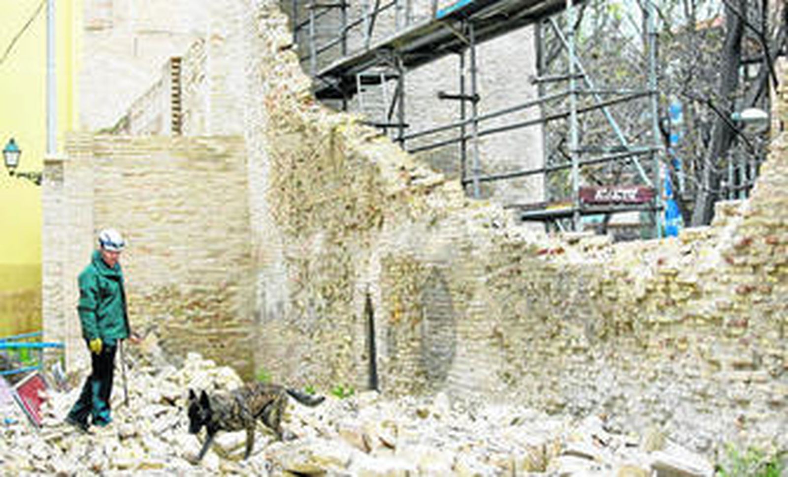 Un perro de la unidad canina de la Guardia Civil realiza labores de búsqueda en las inmediaciones del tramo derrumbado de la muralla de Zaragoza.