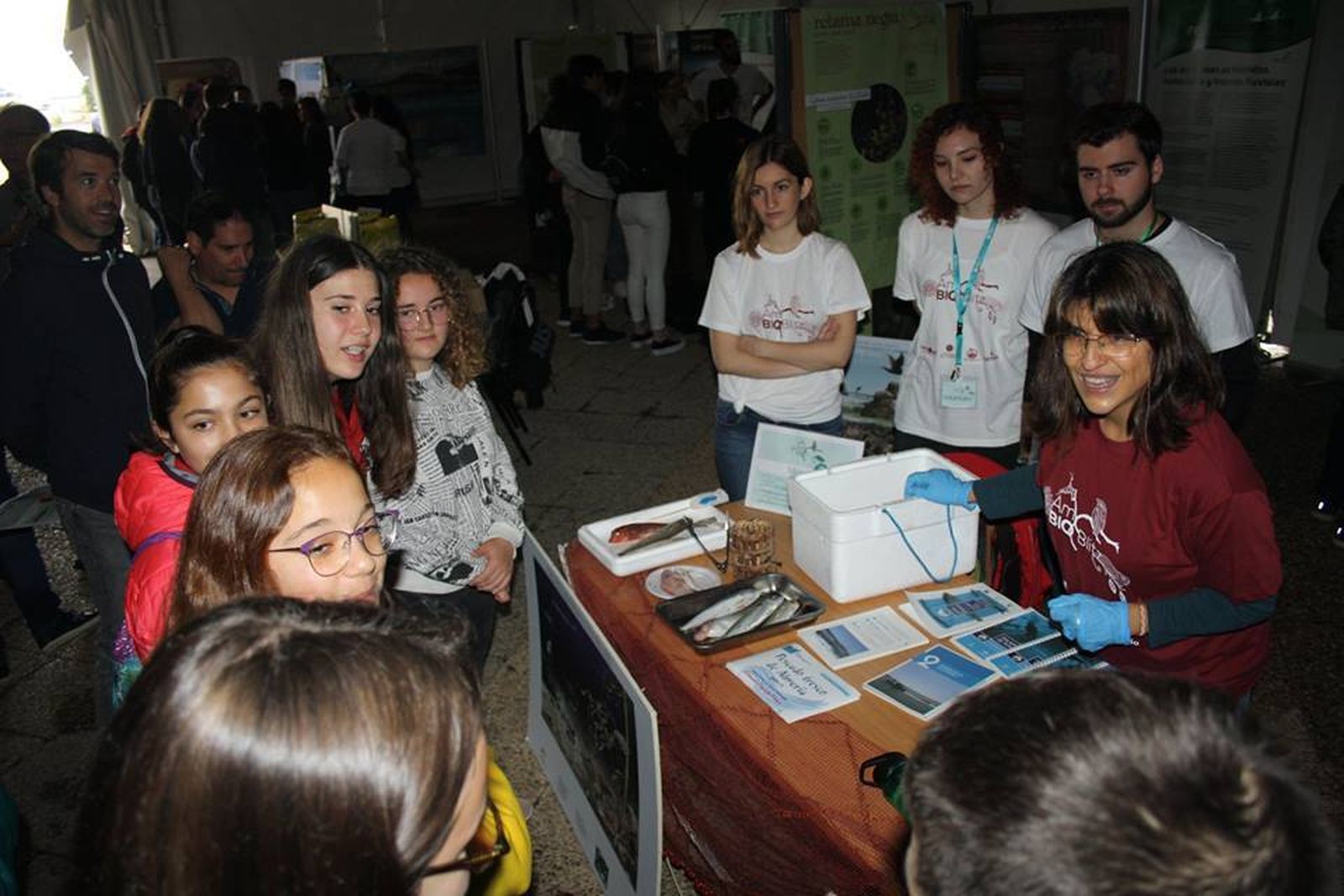 Imagen de archivo de anterior edición de AmBioBlitz.