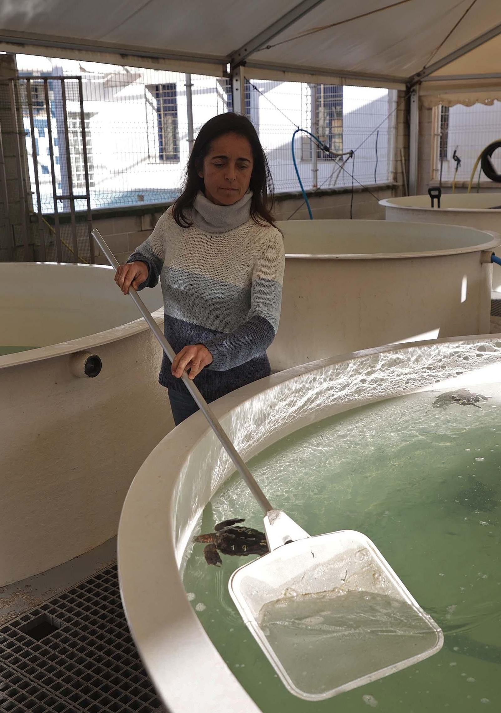 El Centro de Gestión del Medio Marino Andaluz (CEGMA) de Algeciras, en imágenes