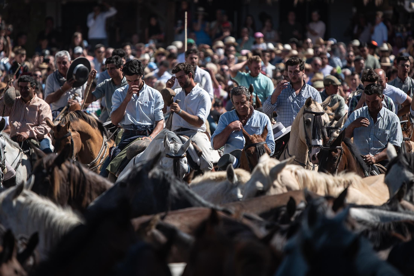 Imágenes de la Saca de las Yeguas a su paso por El Rocío