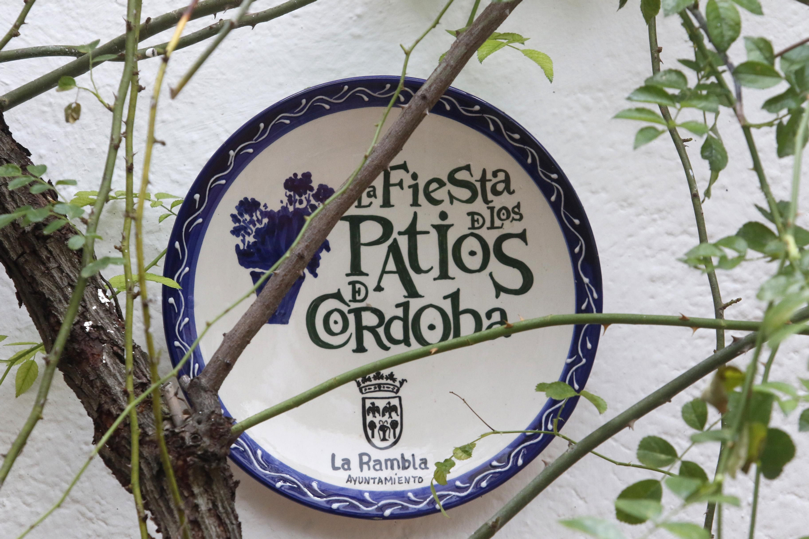 Ruta Santiago - San Pedro de los Patios de Córdoba, en imágenes