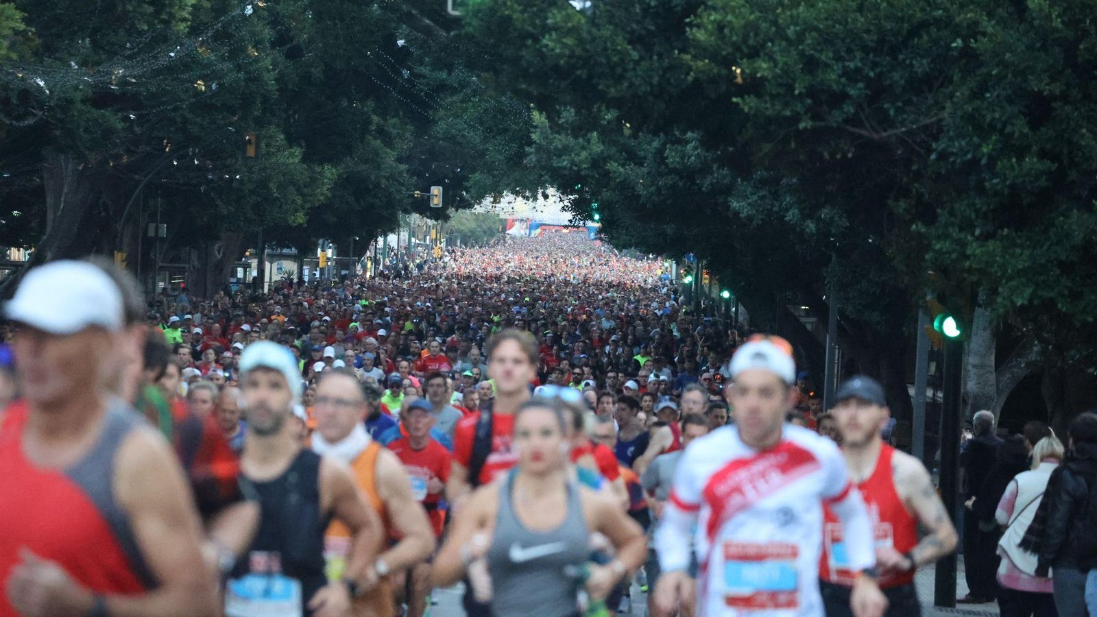 Las mejores fotos de la Maratón de Málaga 2024