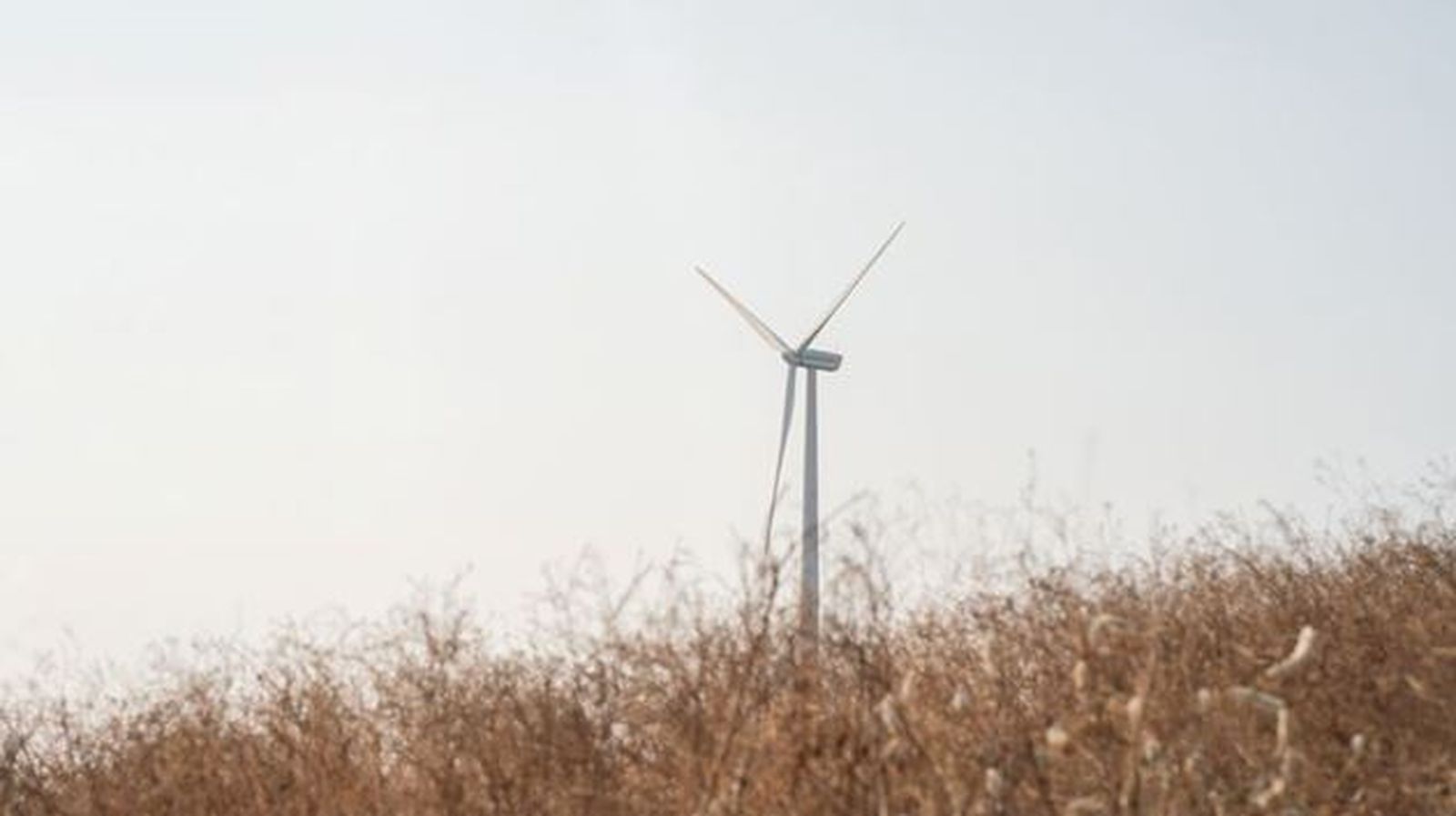 Aerogenerador de Siemens Gamesa.