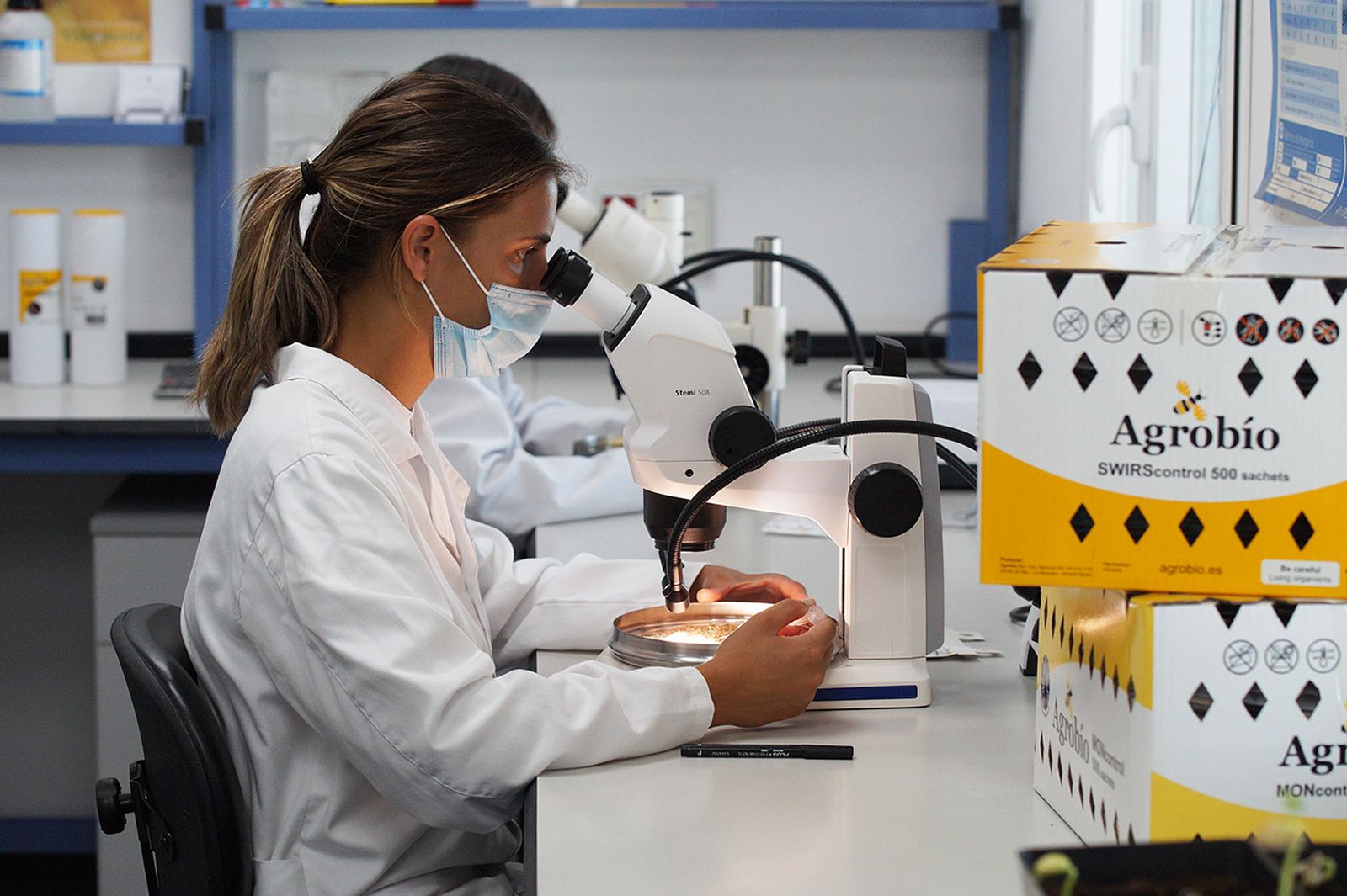 Laboratorio de Agrobio trabajando en el desarrollo de estrategias de control biológico.