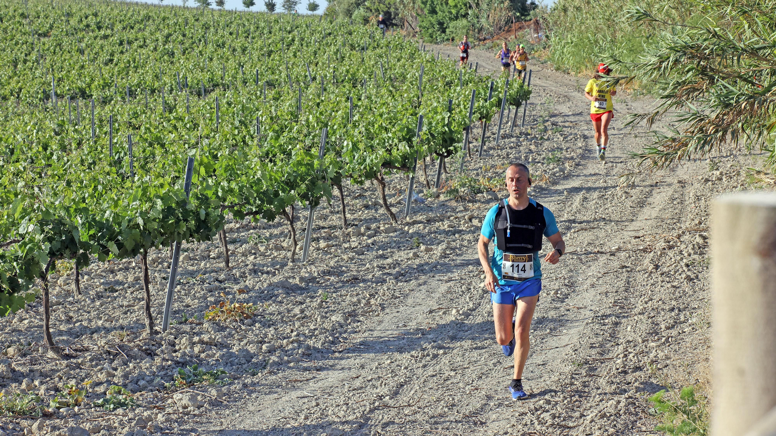 VI Sherry Maratón Jerez