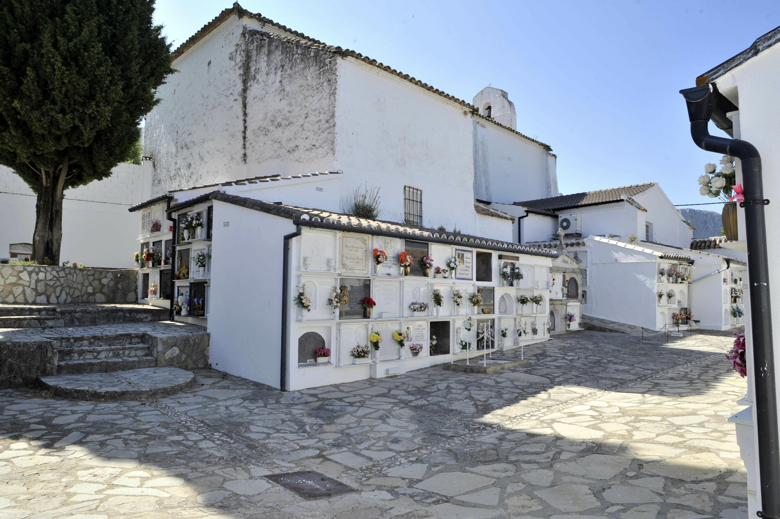 Imágenes del cementerio de Villaluenga