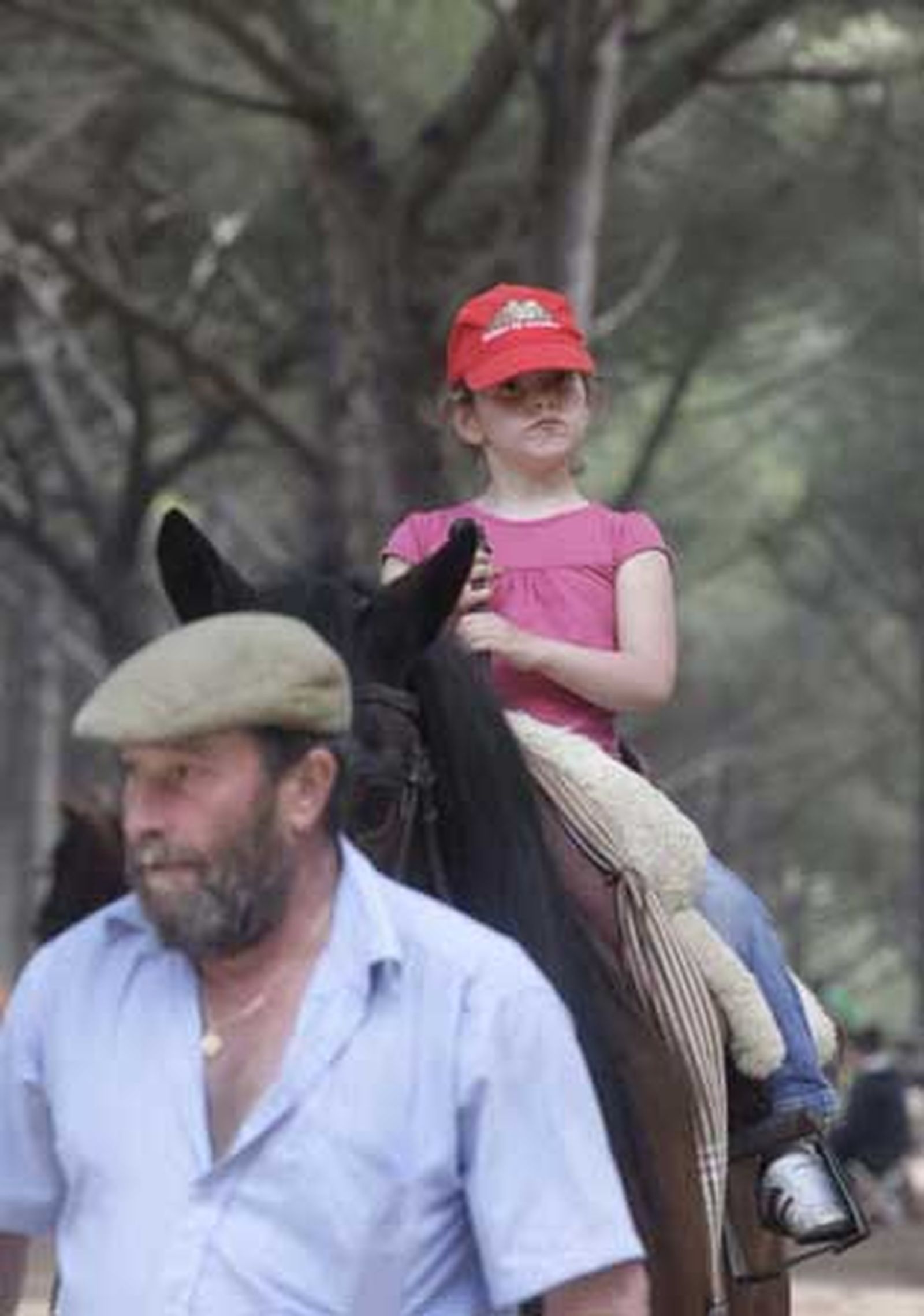 Una pequeña monta a caballo en el Pinar del Rey

Foto: Erasmo Fenoy