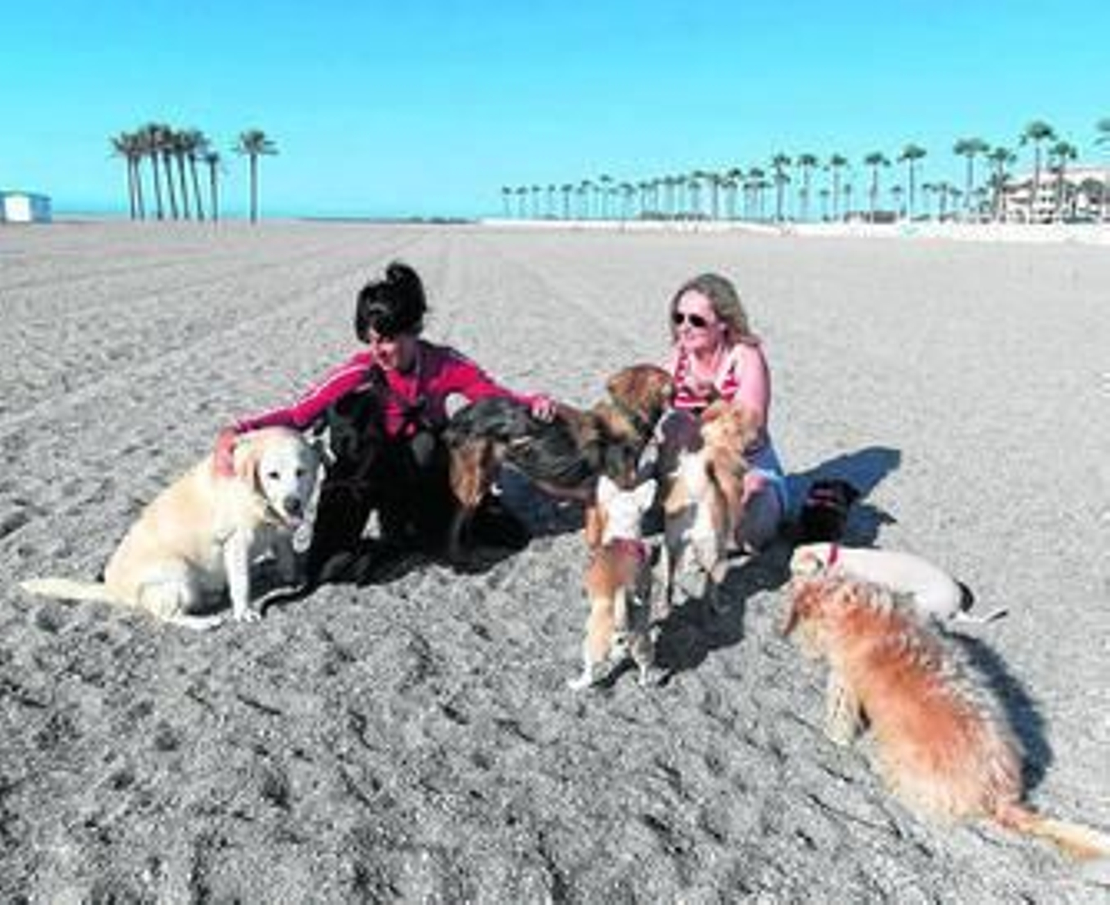 Dos mujeres, acompañadas por varios perros en una playa reservada para canes en Roquetas de Mar (Almería).