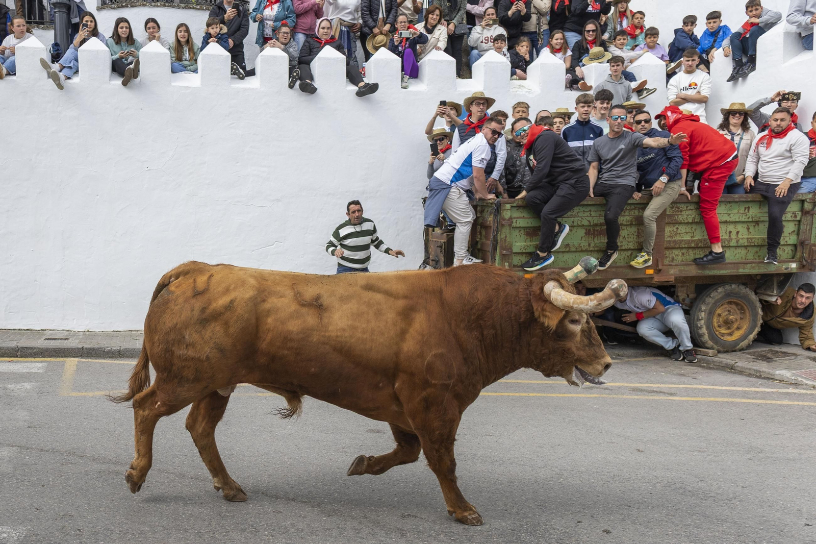 Las imágenes del Toro Embolao de Vejer 2025
