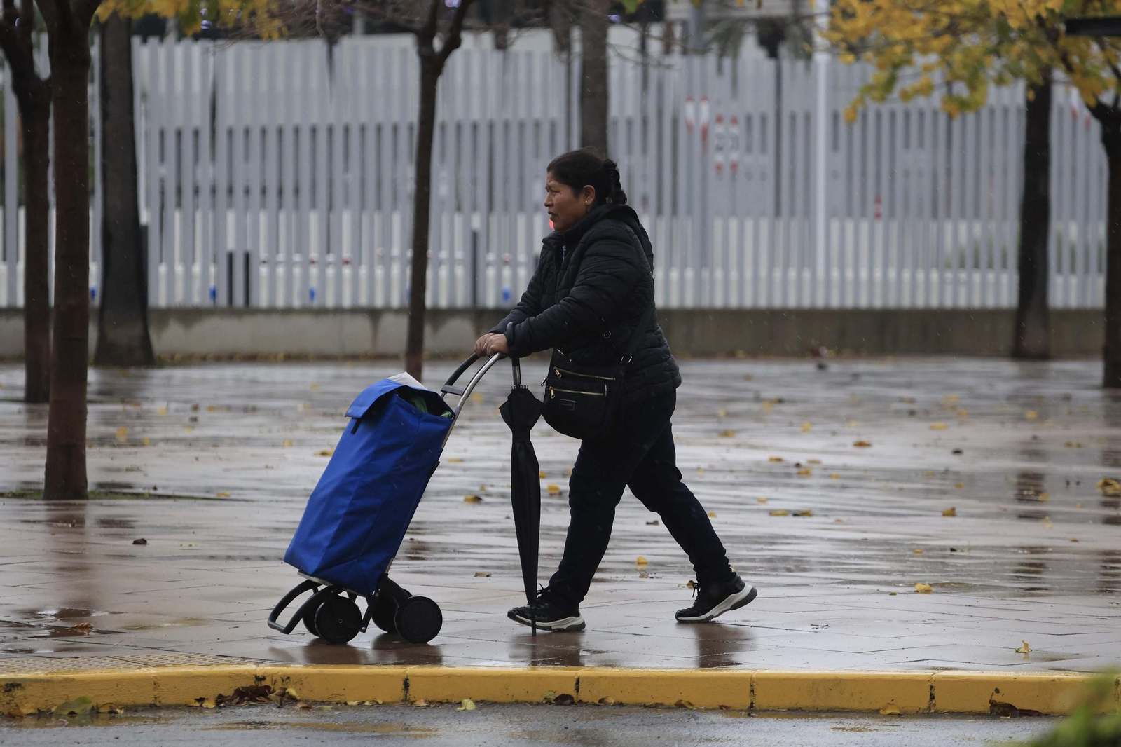 Las fotos de los efectos de la borrasca Emilia en el Campo de Gibraltar