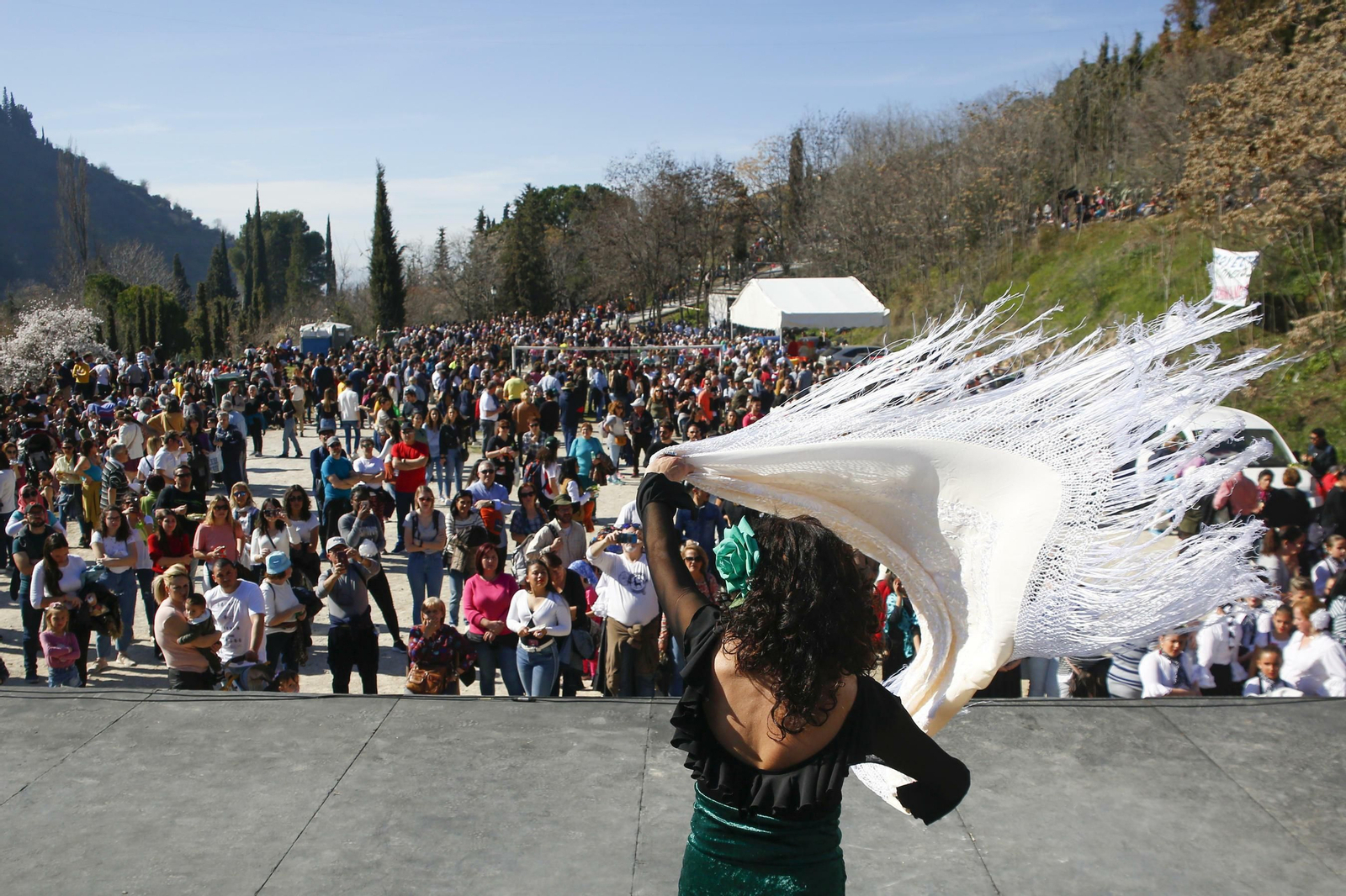Las mejores imágenes de San Cecilio