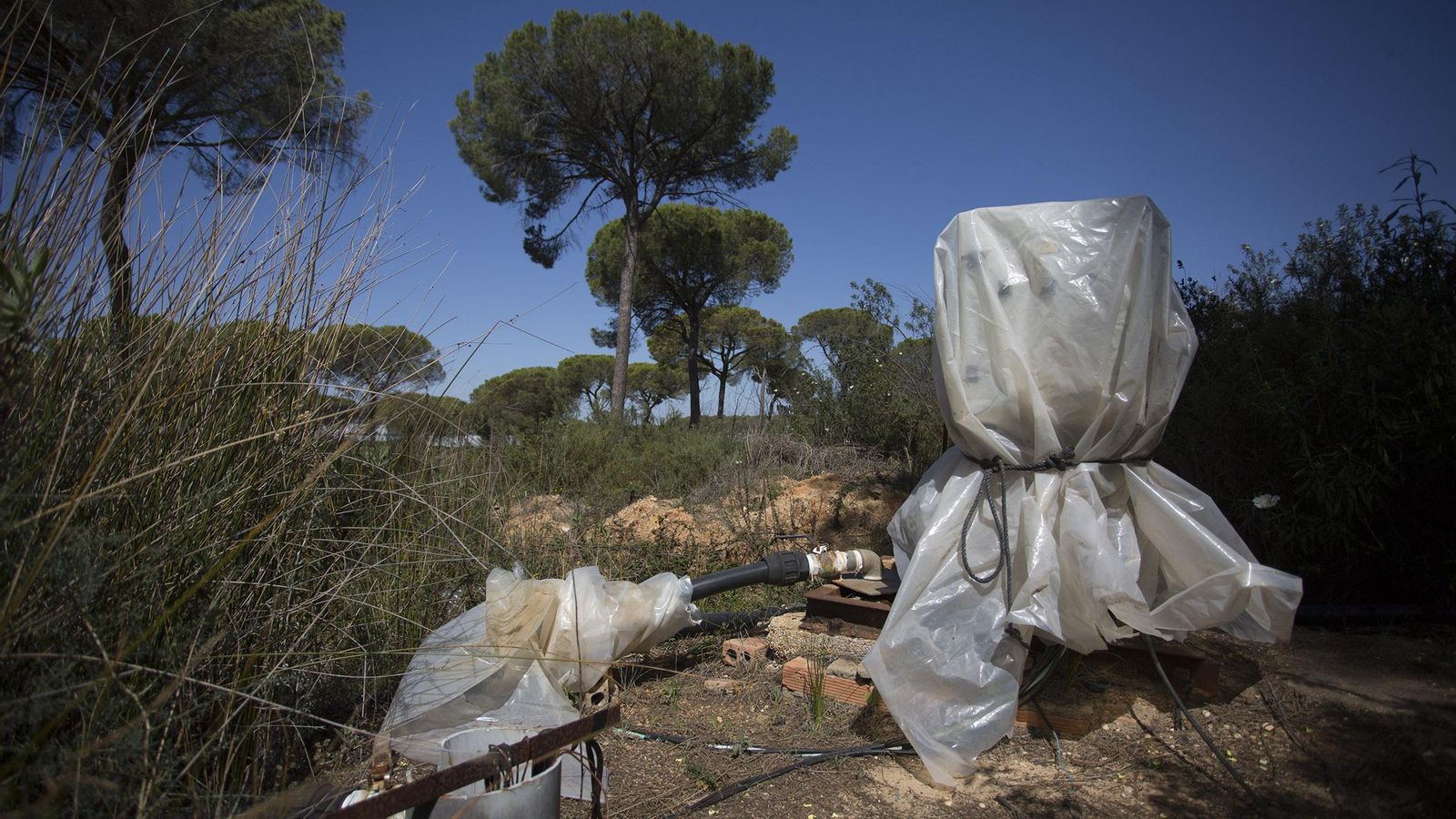 Pozos ilegales en el entorno del Parque.