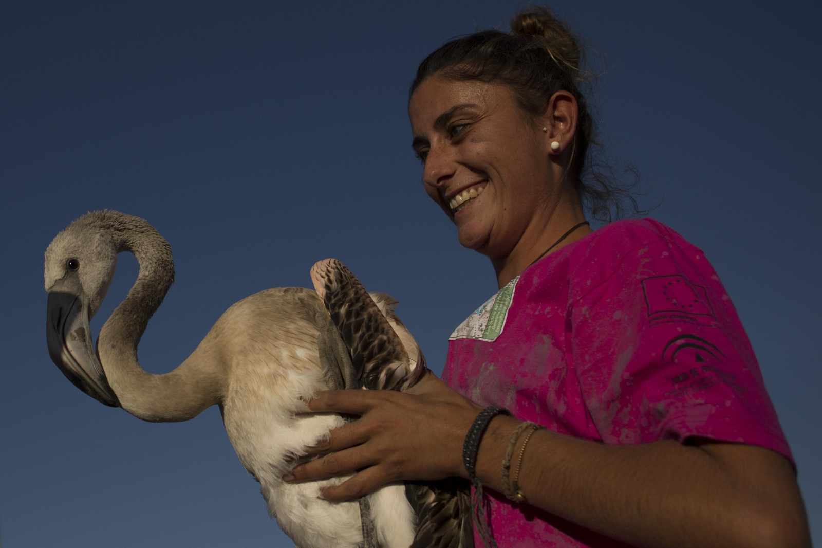 Amanecer flamenco en Fuente de Piedra