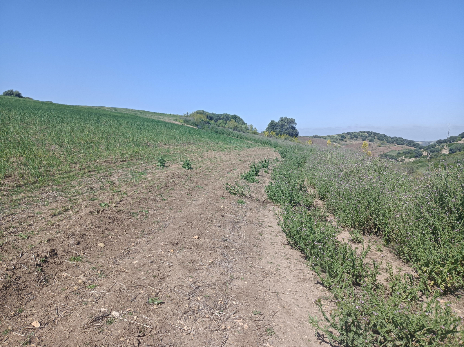 Las imágenes de la ruta alrededor del Castillo de Luna