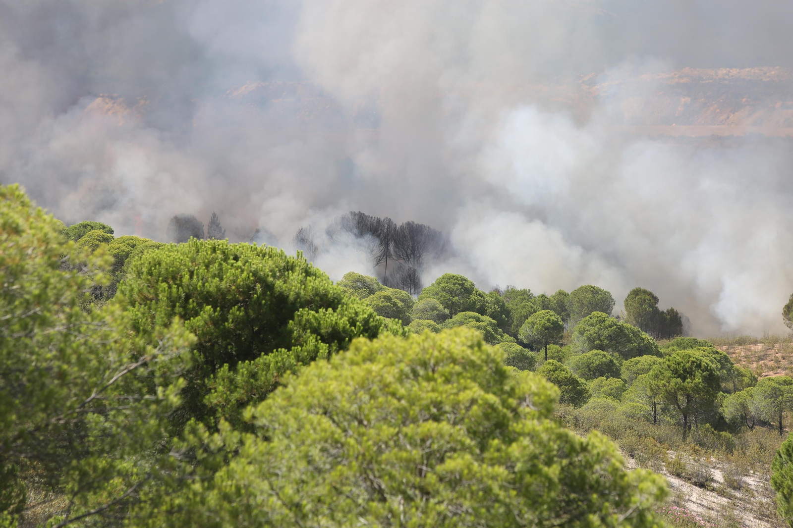 El incendio de Riotinto en imágenes