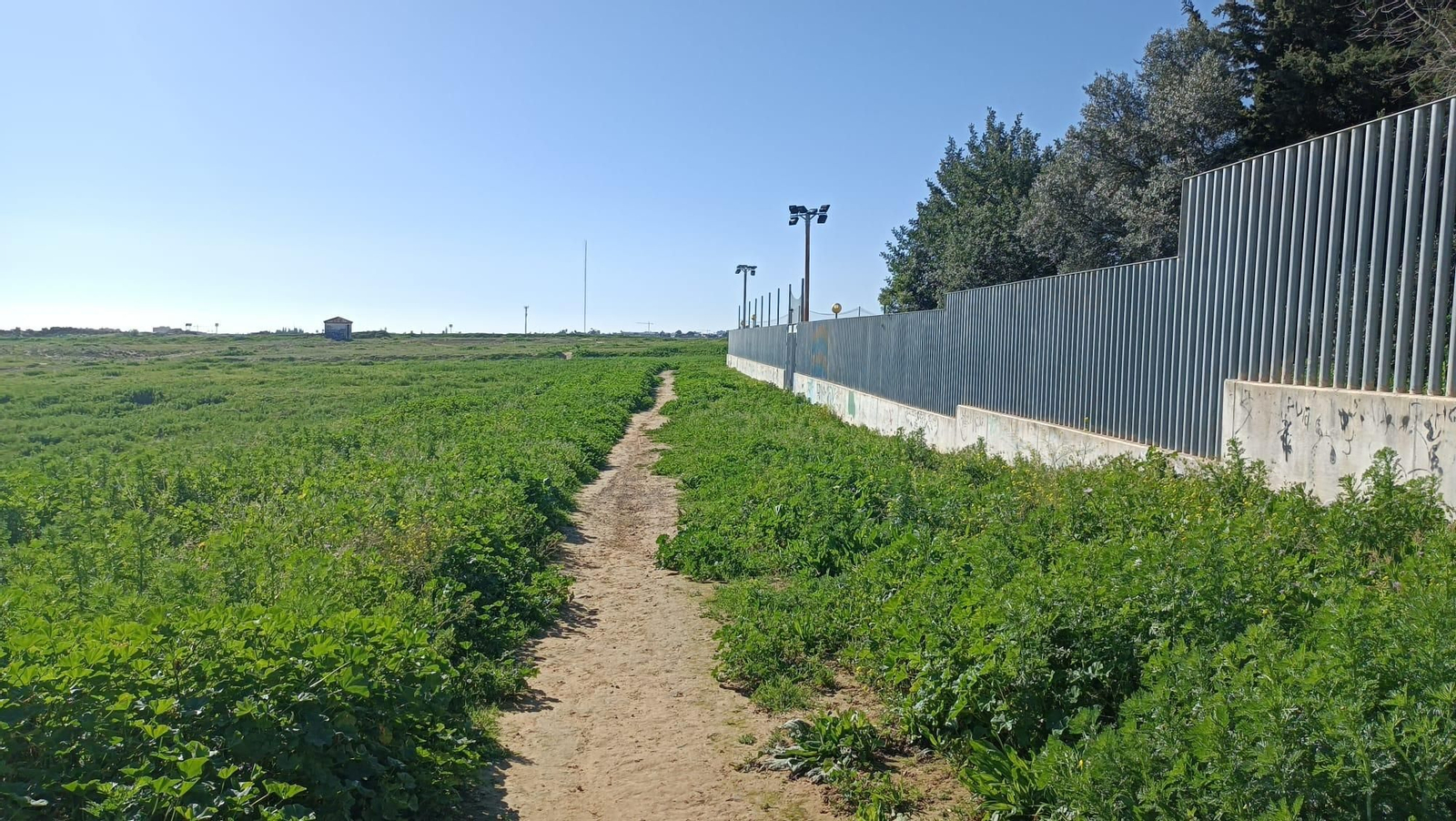 Rodeamos el perímetro del Colegio Monteolivo