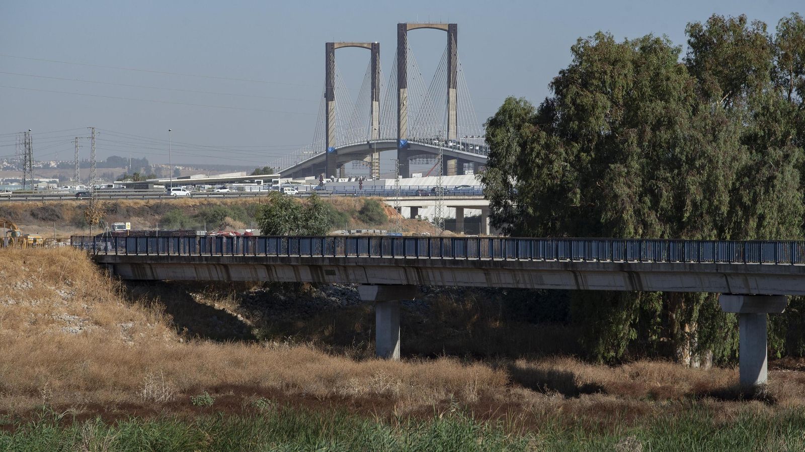 Vista del puente del Centenario desde el parque fluvial de Palmas Altas.