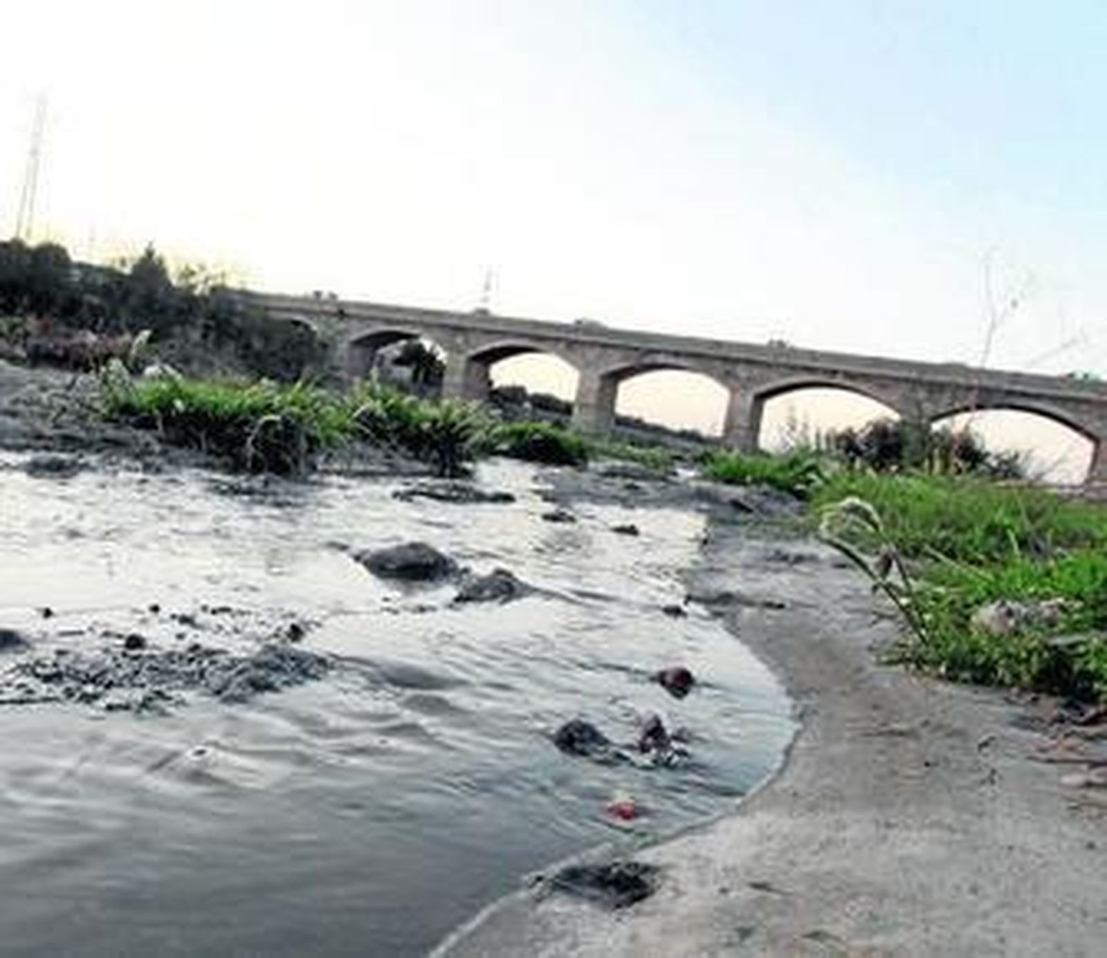 Acelerón de la Junta a la depuración estancada