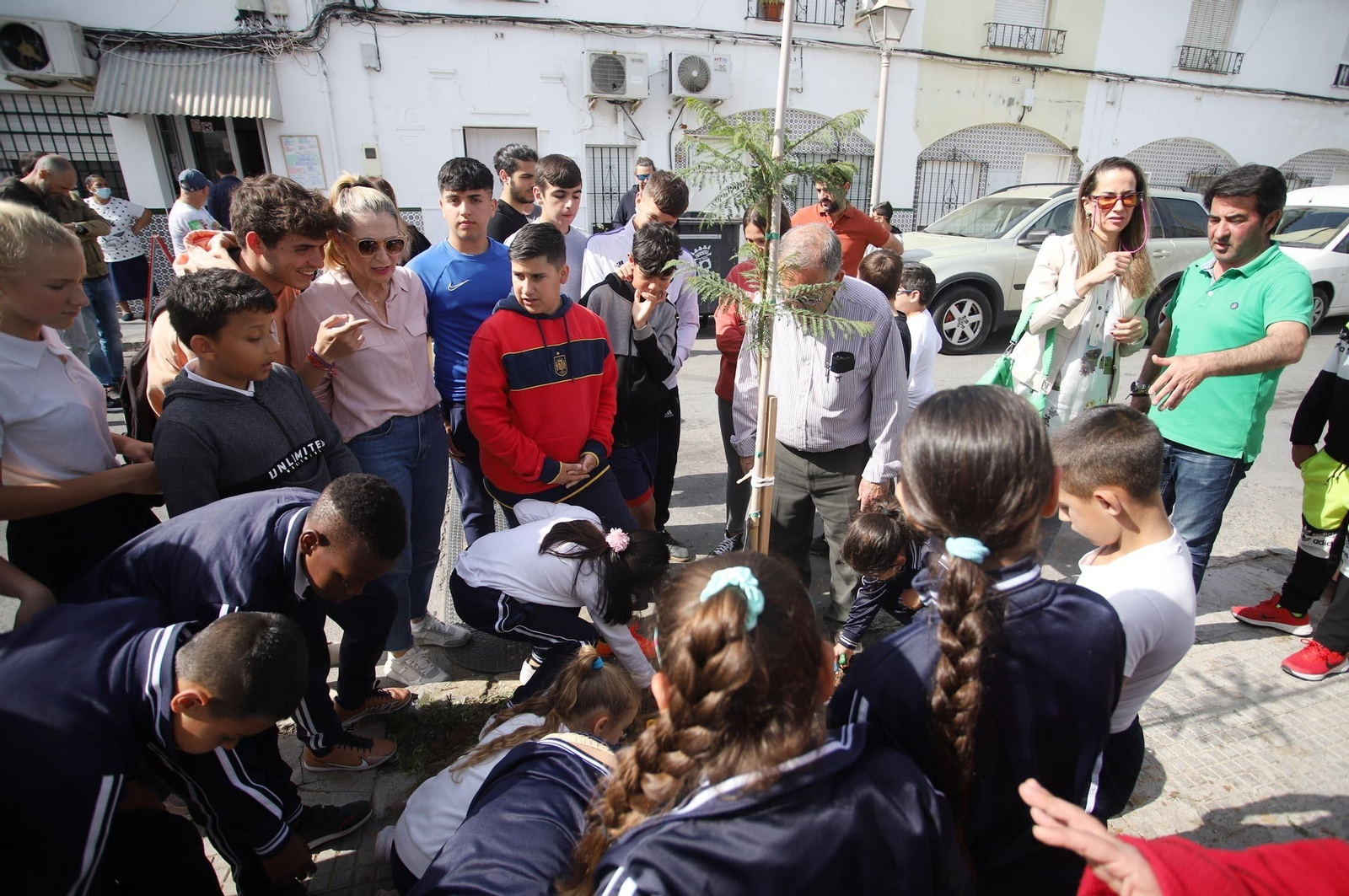 Imágenes la plantación de árboles en la Barriada de la Navidad por alumnos del Colegio Virgen de Belén