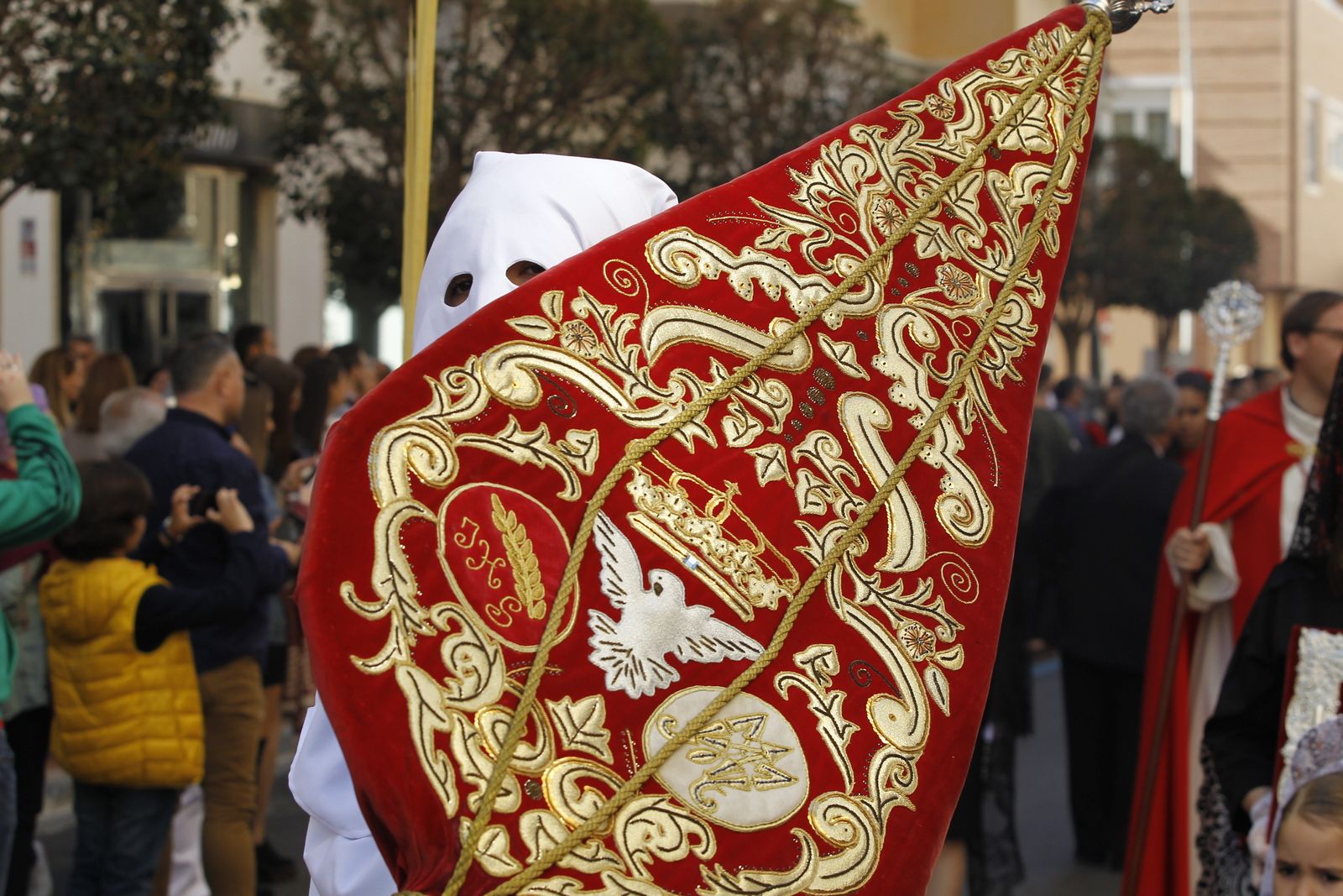 Imágenes Procesión de la Borriquita de Almería capital. Semana Santa 2019