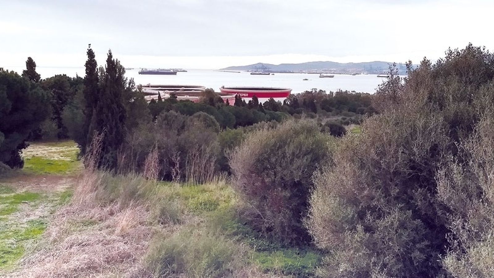 Vista de la bahía de Algeciras desde Carteia.