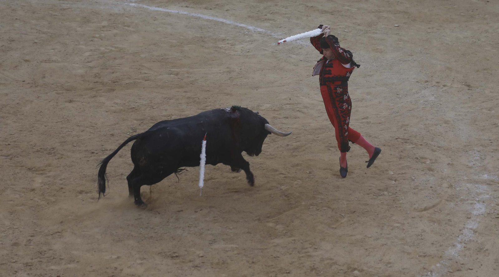 Fotos de la encerrona de Manuel Escribano en Tarifa
