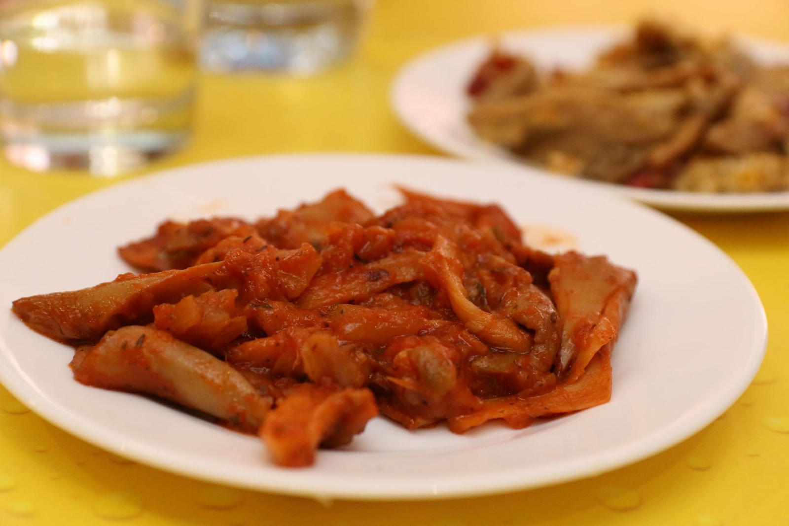 Fotogalería del Reino de las Setas