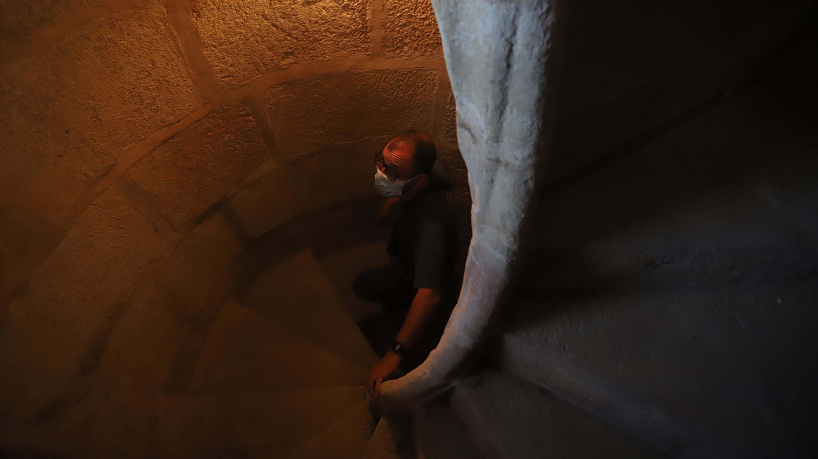 Anillamiento de cernícalos primilla del grupo Tumbabuey en Los Barrios