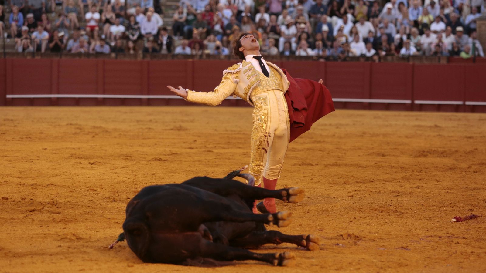las mejores imágenes de la feria taurina de Sevilla