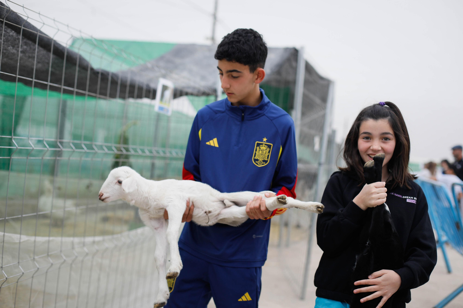 Galería de la Feria  de ganado en Tarambana