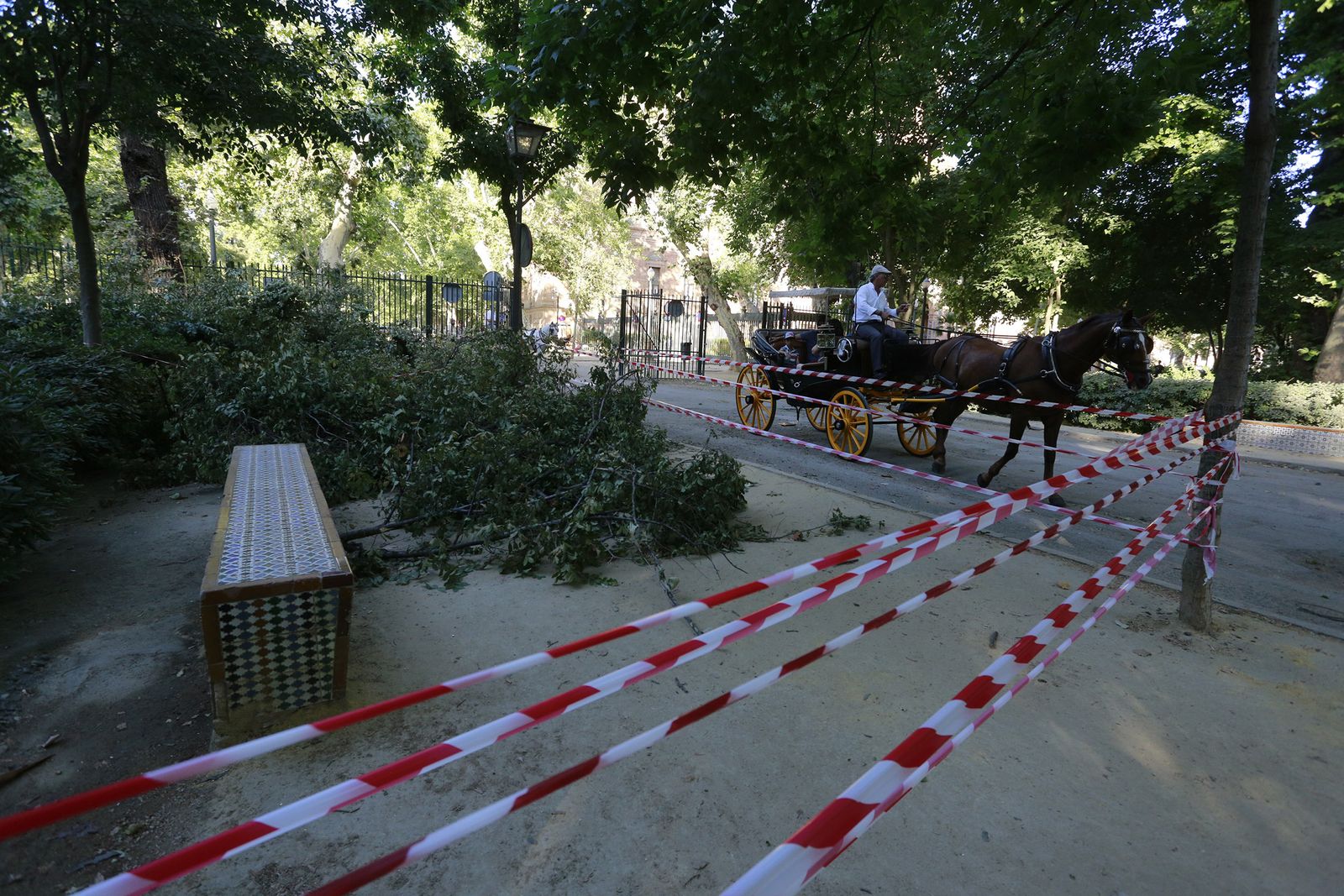 Parque de María Luisa.