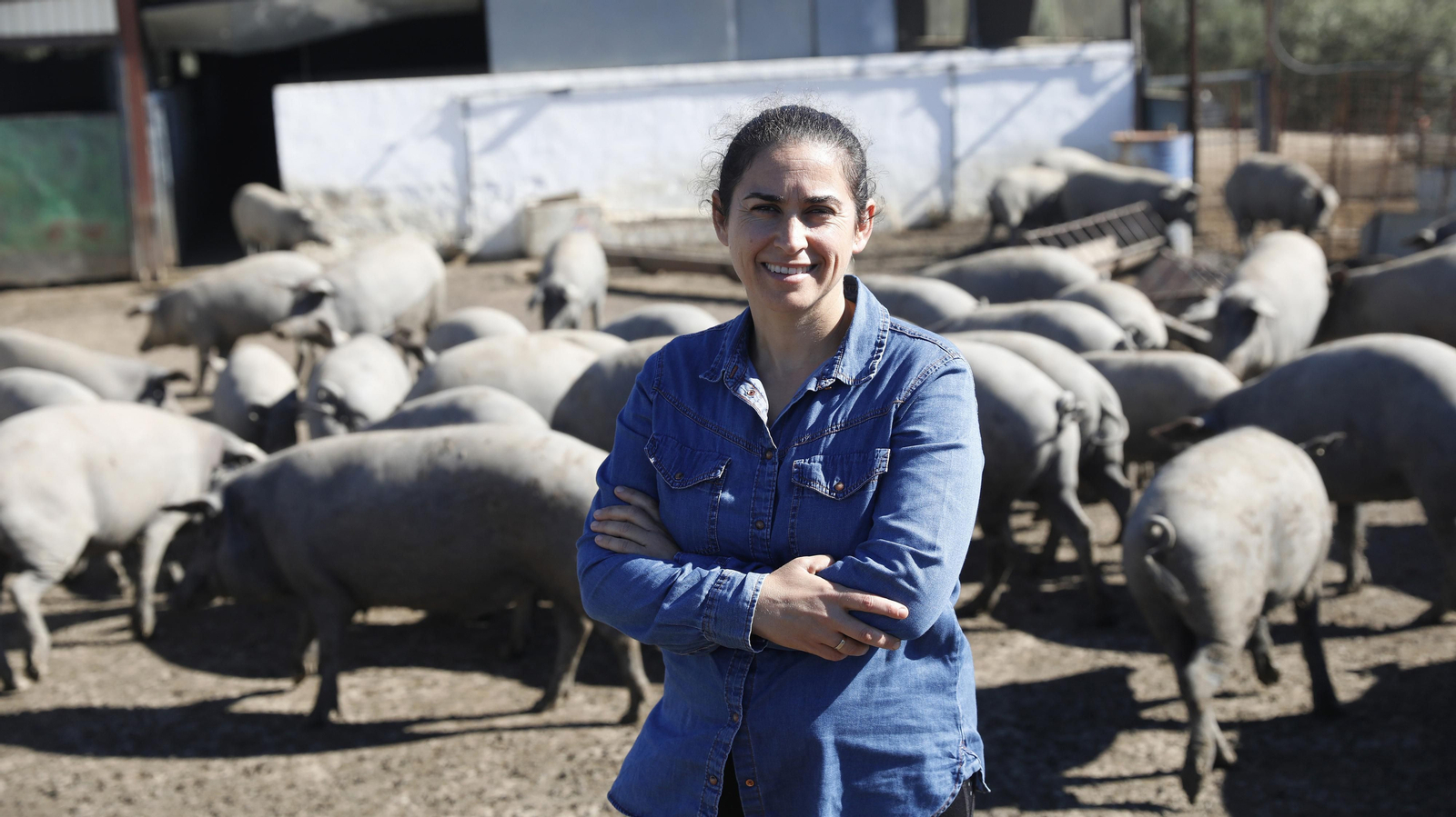 Las fotos de los cerdos 100% ibéricos que se crían en Tarifa