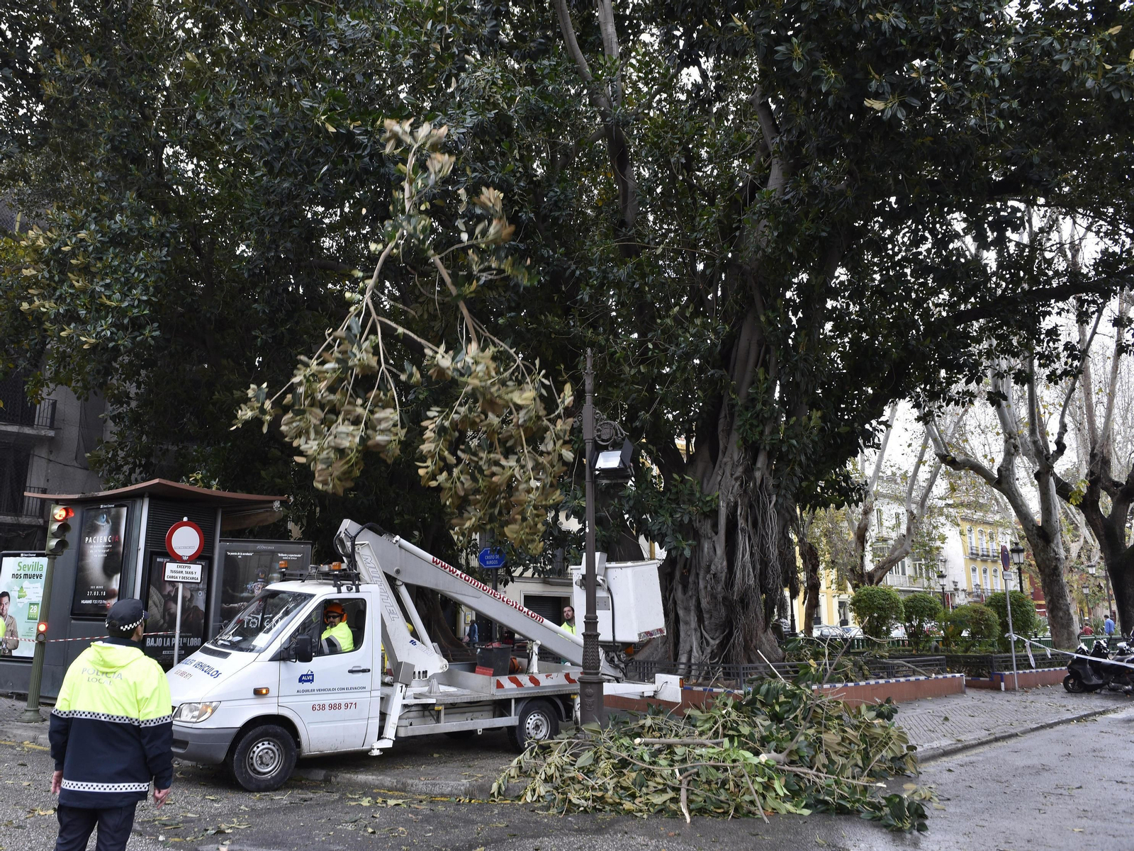 Las imágenes del temporal en Sevilla