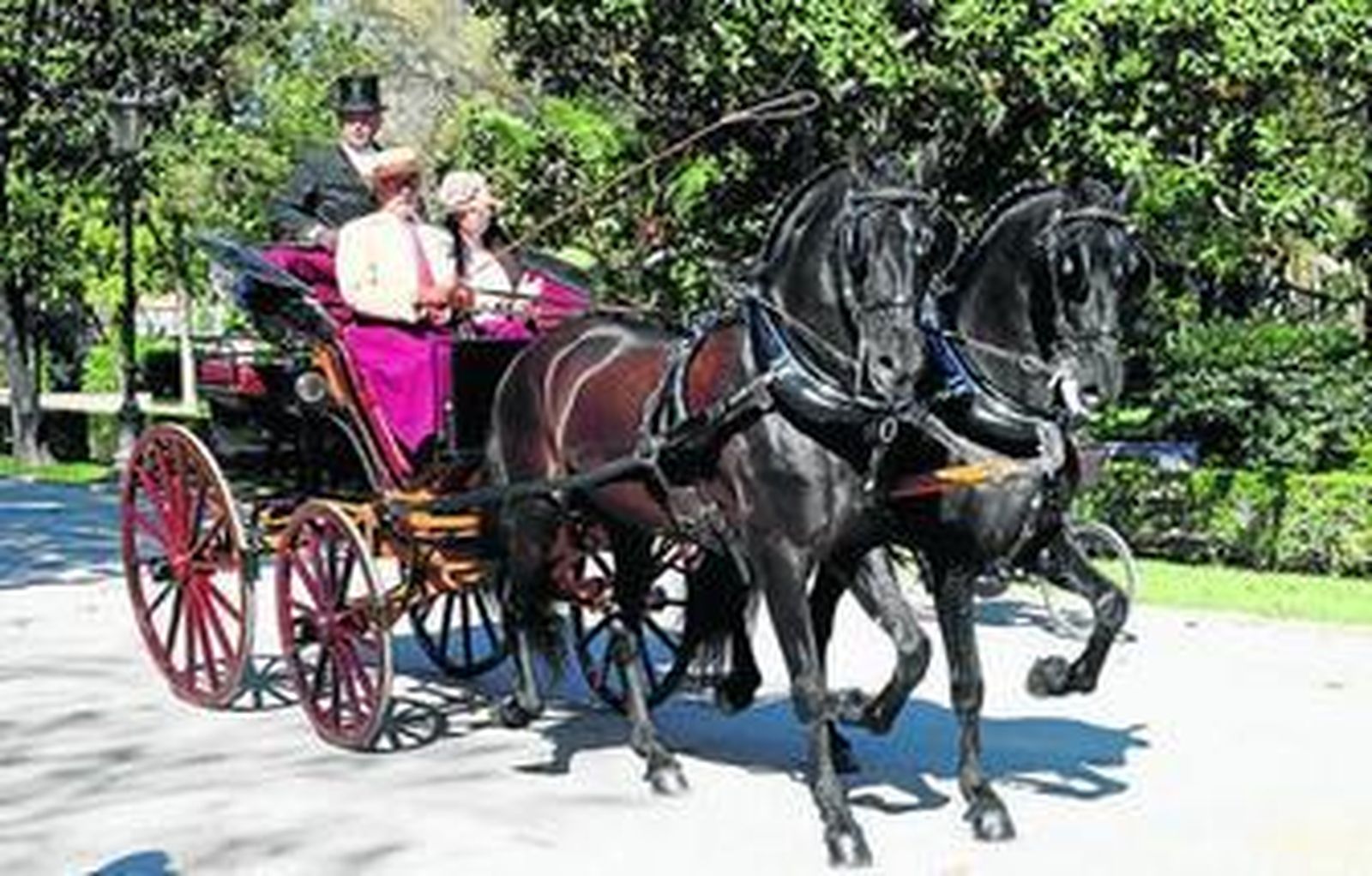 1. Un tronco, dos caballos enganchados en paralelo, con guarnicion a la inglesa. 2. Una limonera, un caballo solo, ésta también a la inglesa. 3. En el tresillo se engancha un caballo delante y dos, en paralelo, detrás. 4. Dos pequeños jinetes, ayer en la competición.