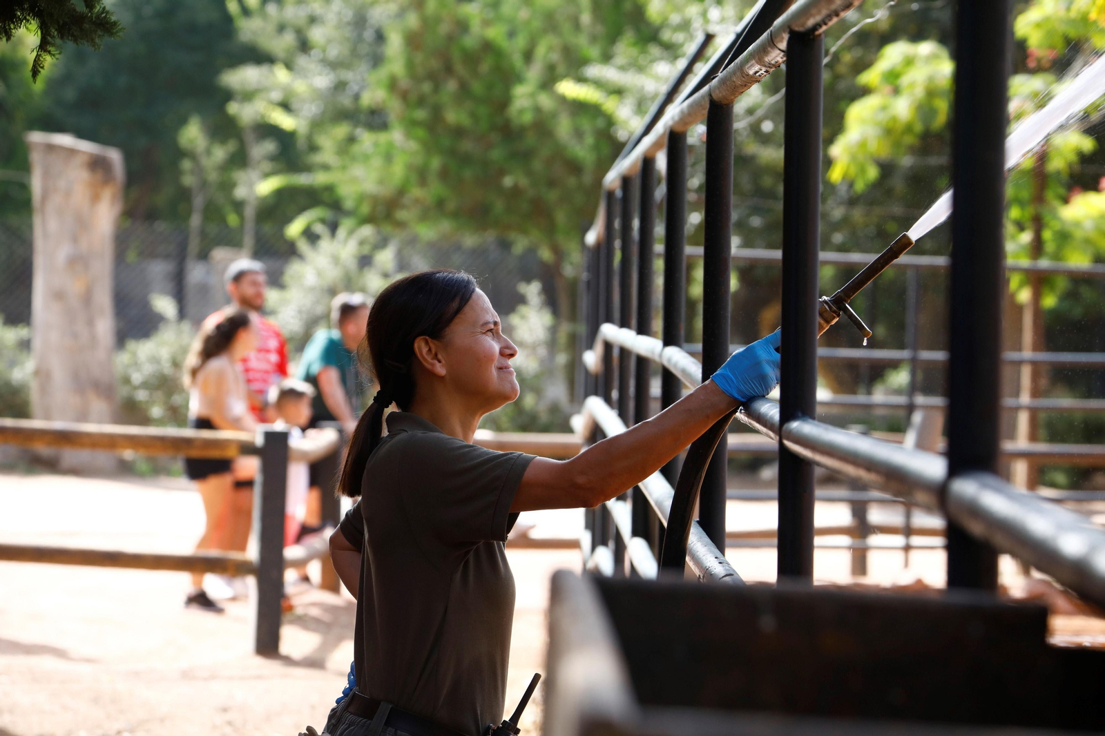 Fotogalería: Así viven los animales del Zoo de Córdoba los meses de verano