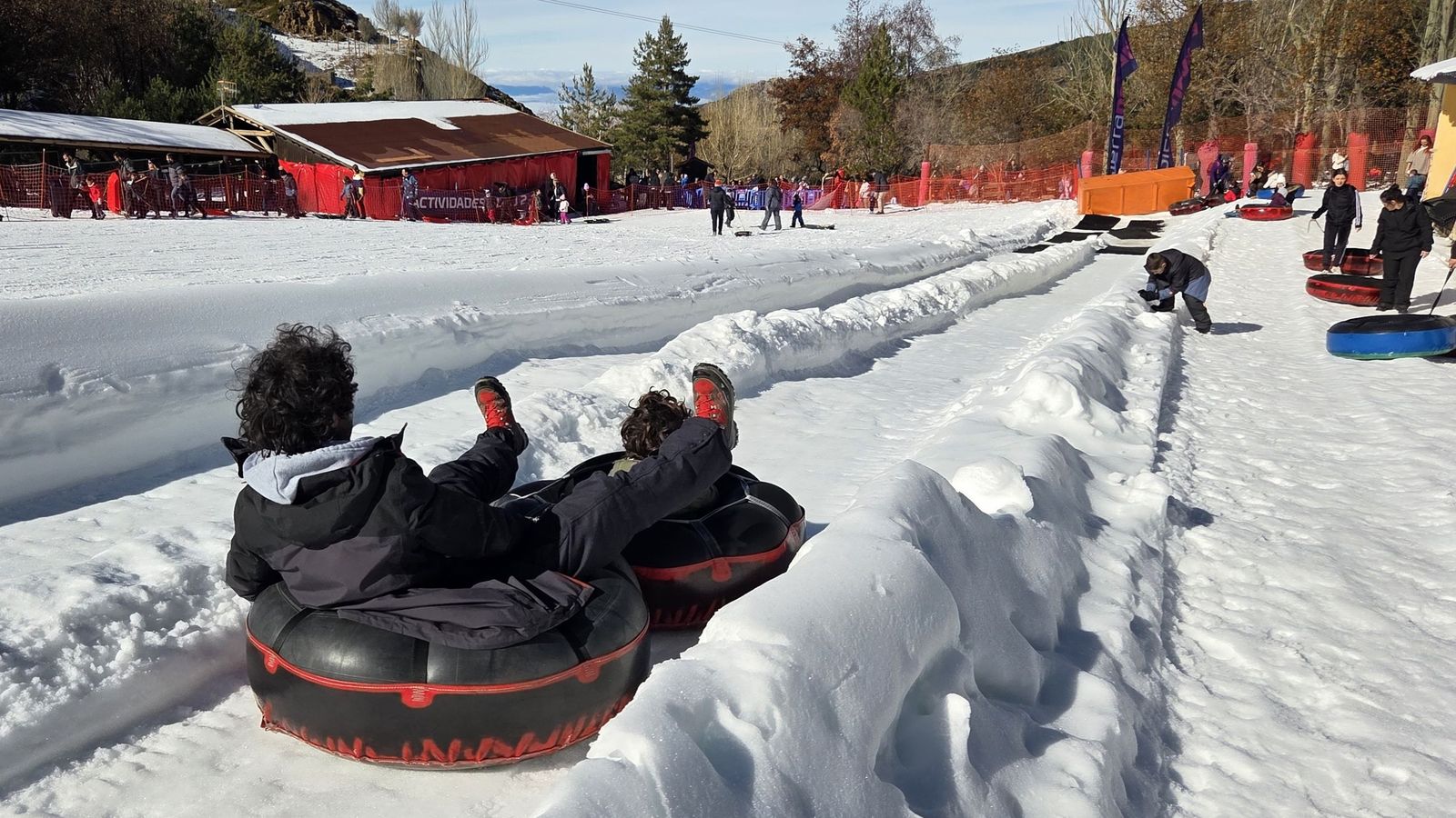 Los empresarios abogan por cerrar el Mirlo Blanco y reubircarlo en la Hoya de la Mora