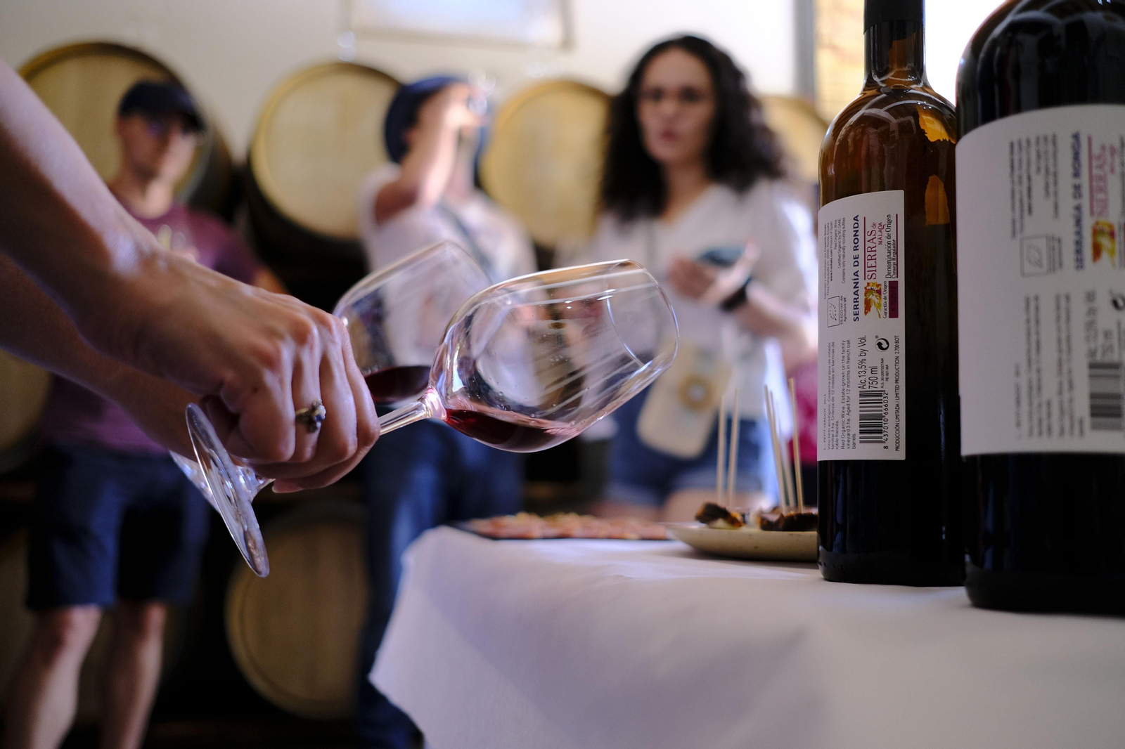 El regreso del turismo extranjero a las bodegas rondeñas, en fotos