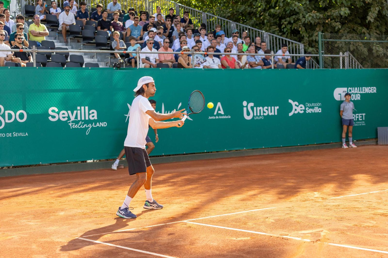 Llamas-López - Puyol-Mansilla  (19).jpg