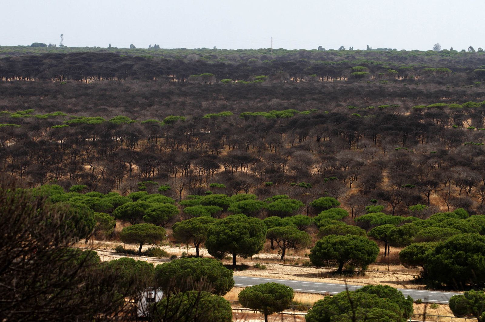 Imagen de archivo. Cuesta Maneli