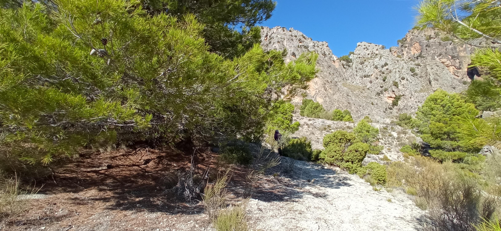 Las imágenes de la ruta Hinojares - Cuenca - Hinojares
