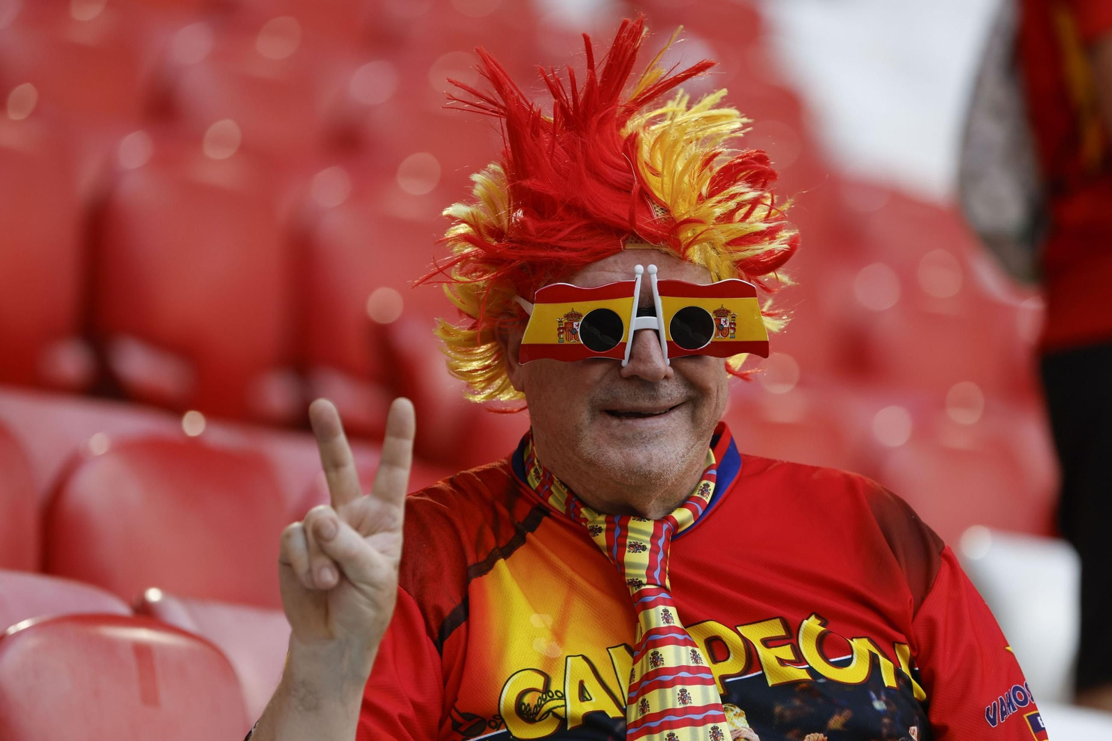 Las mejores imágenes del España - Francia