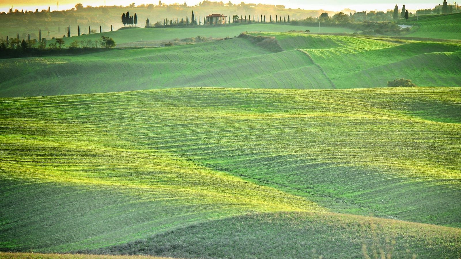 Campos verdes de la Toscana
